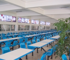 ���һ��ʳ��