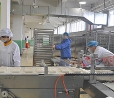 ������µhʳƷ�S